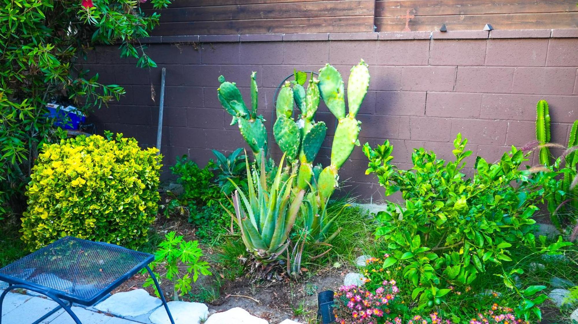 Cozy Private Guest House Los Angeles Exterior foto