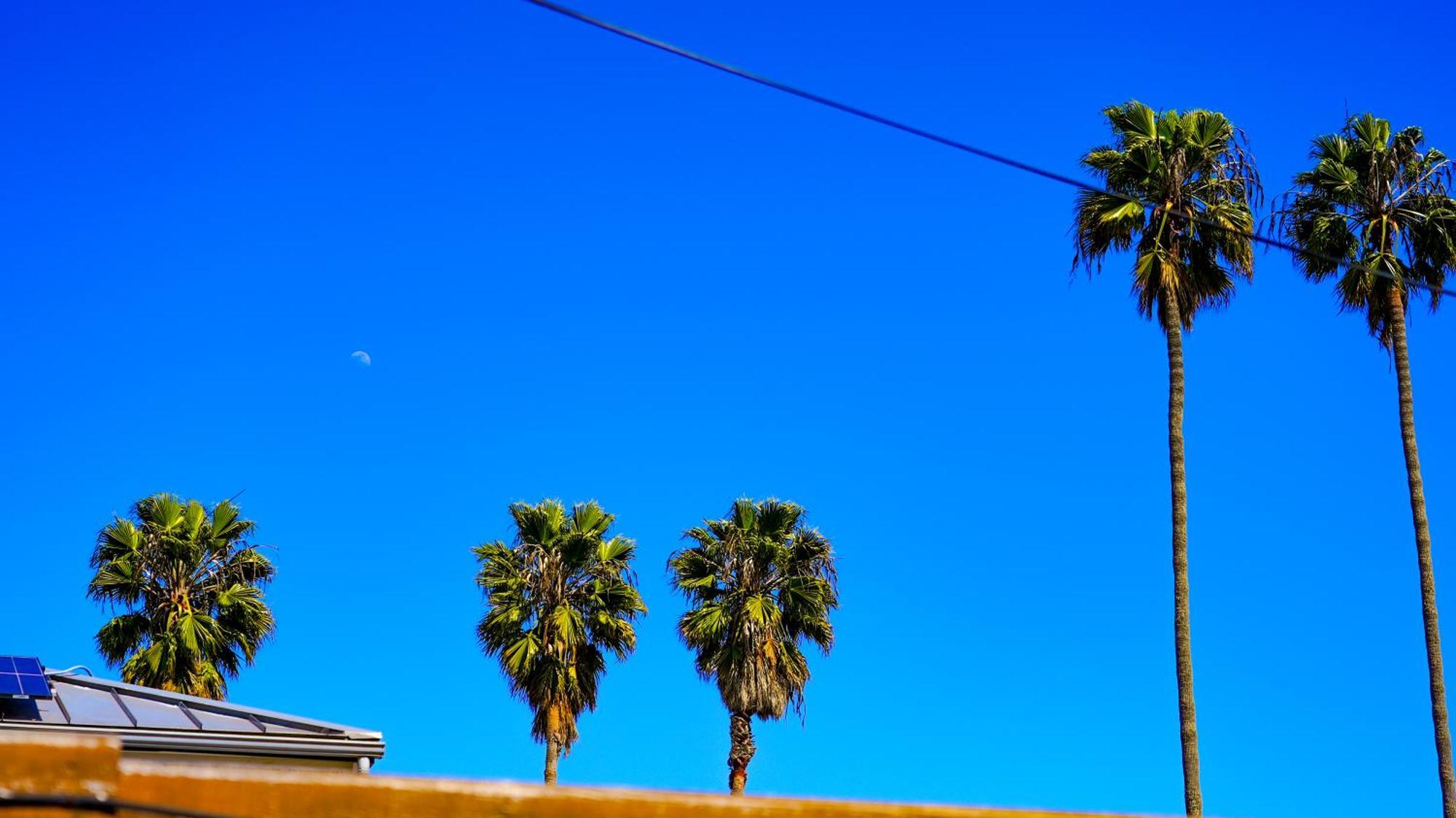 Cozy Private Guest House Los Angeles Exterior foto